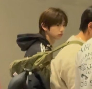 🐢🐶 tweet media