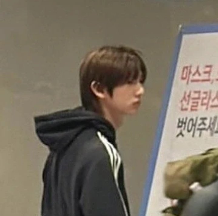 🐢🐶 tweet media