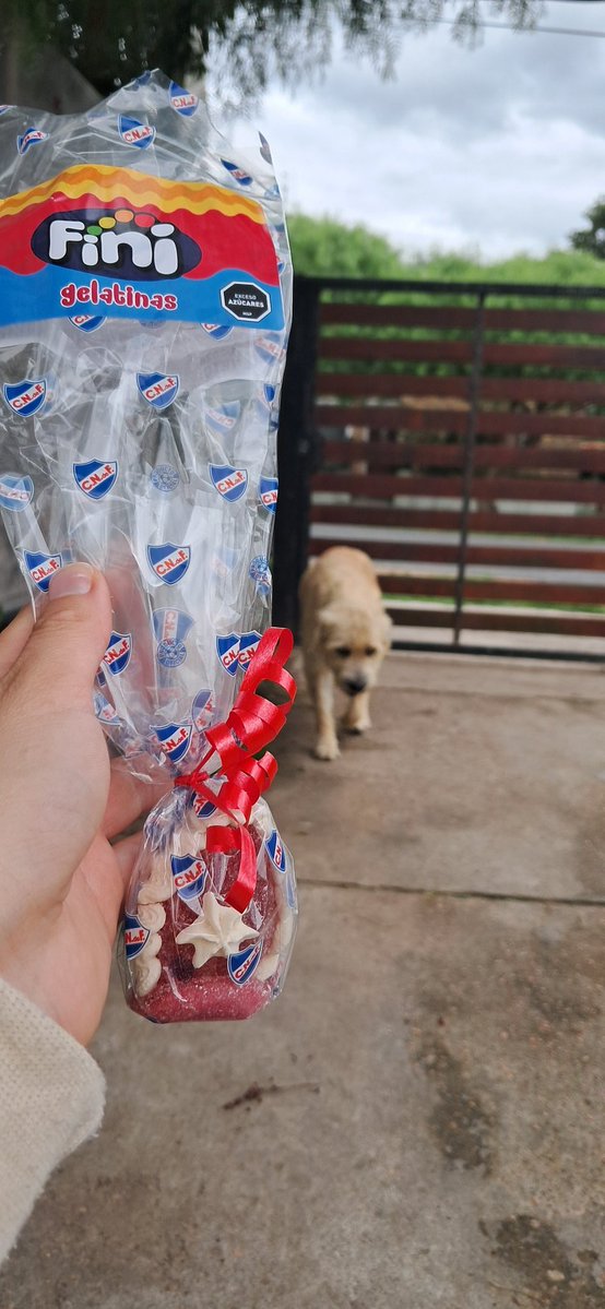 María  Angelino tweet media