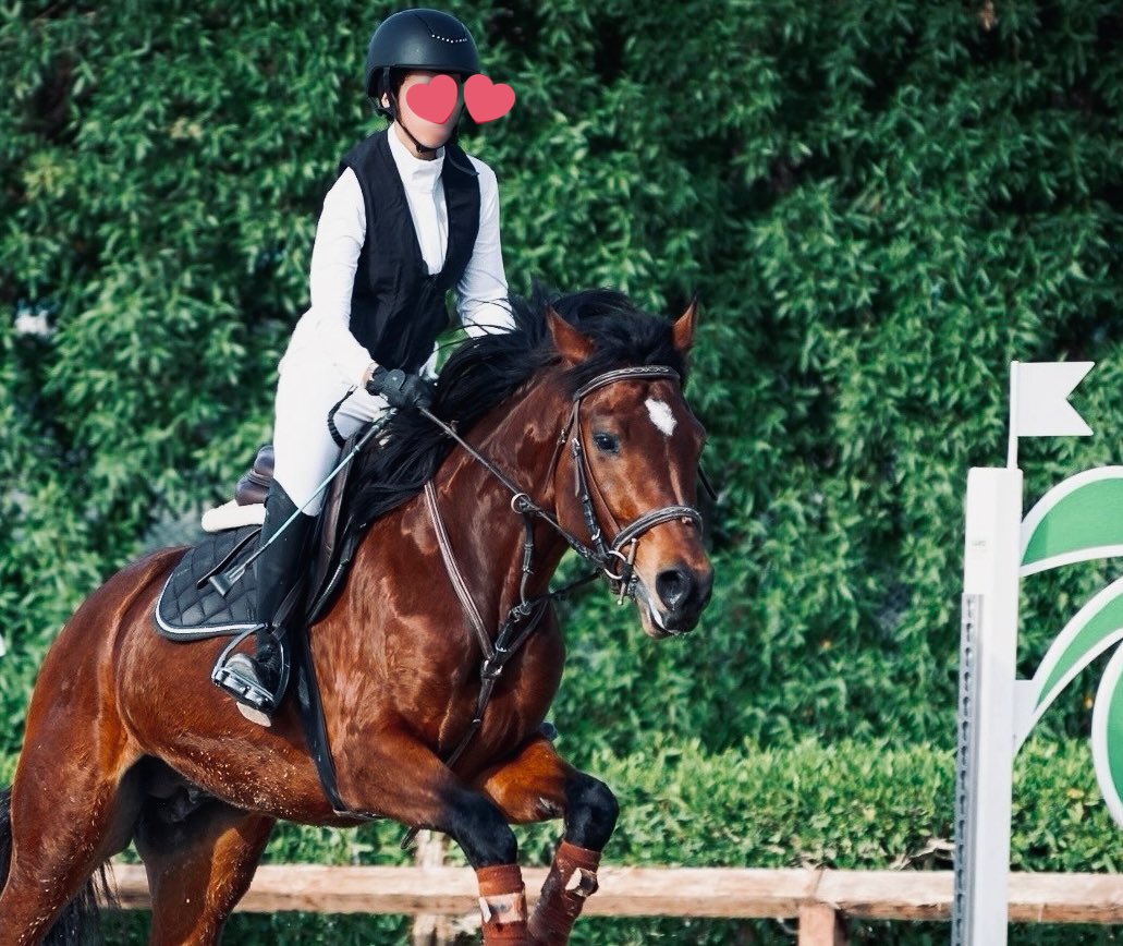 aalamoudiii's tweet photo. - ماشاءالله 
I still remember being 8 years old, watching my first show at this exact same stable and imagining myself as a rider one day.
12 years later, I’m back but this time, I’m the one competing.
A feeling beyond words.
الحمدلله We did a clear round, so proud of this boy. https://t.co/mnwEKR04xX