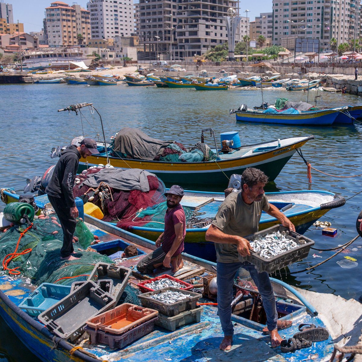 William Peynsaert tweet media