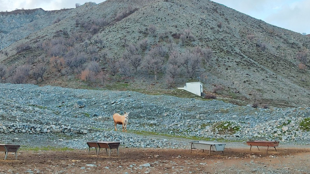 jahan begüm🌺gula wusari tweet media