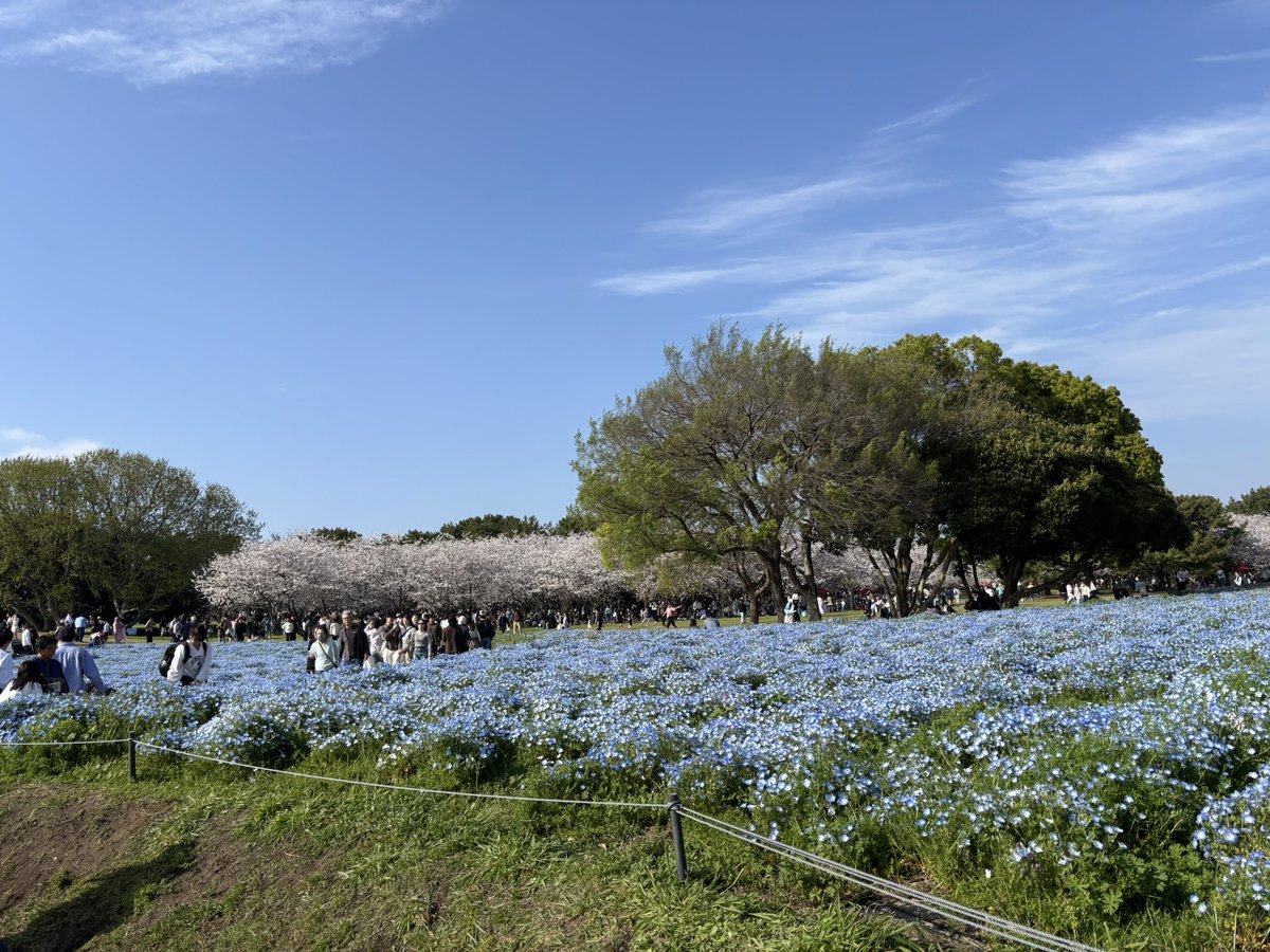 こんぶ tweet media