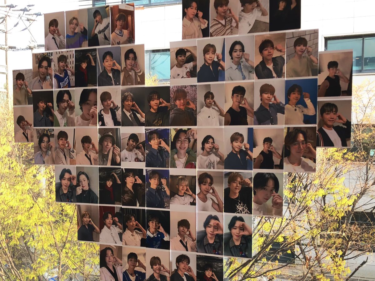 빙구🐿️ tweet media