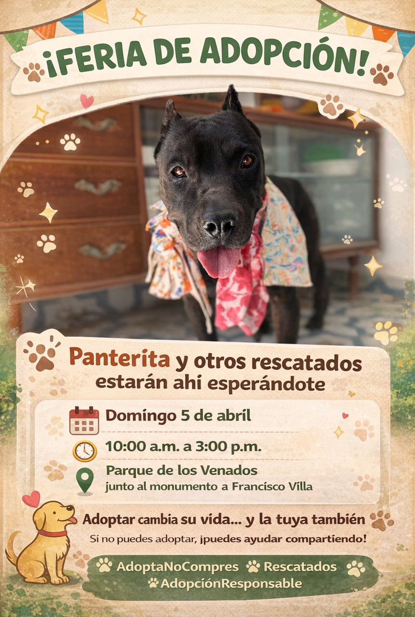 Mónica López Alfa 91.3 🆗 tweet media