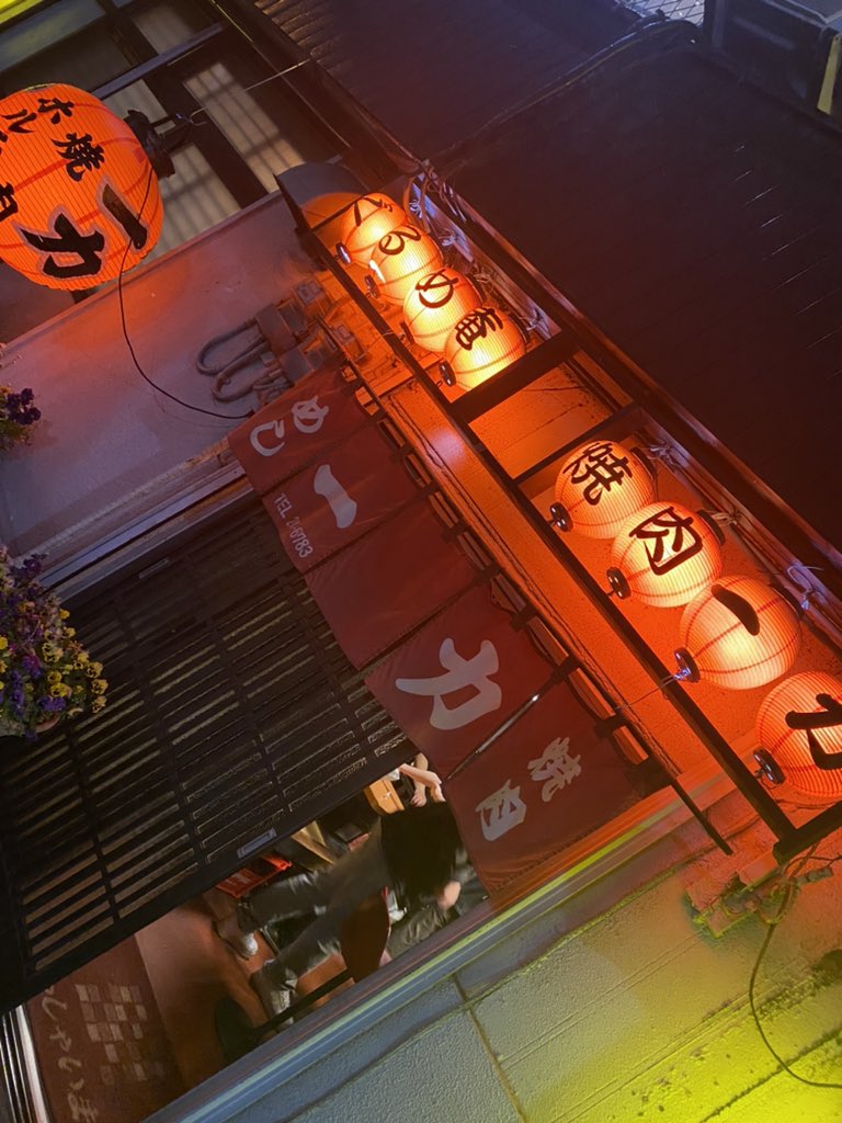 阿蘇産小型犬 tweet media