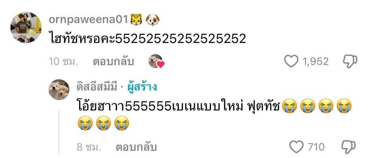 ชาน โซน tweet media