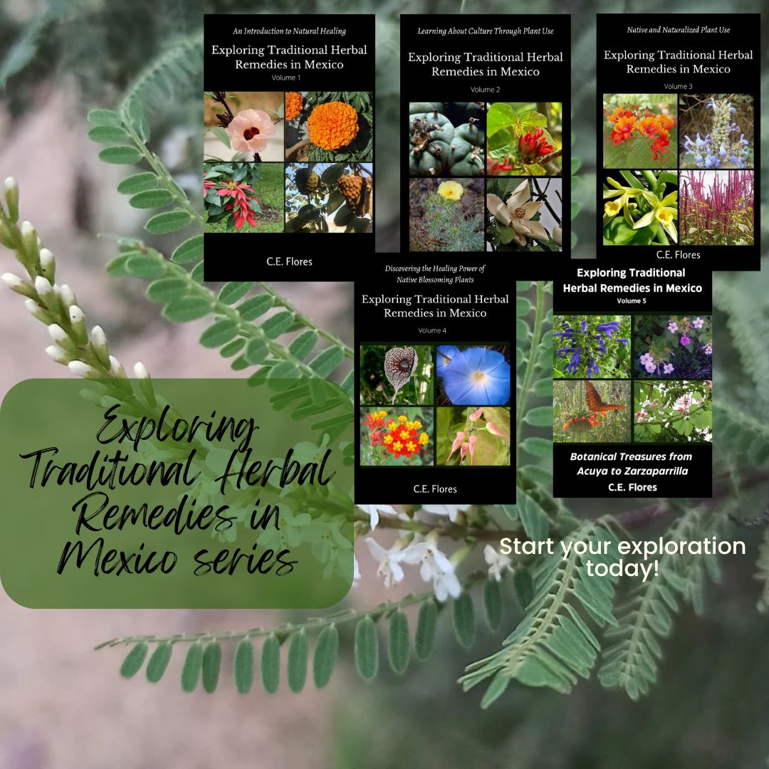 CreativeTeachi5's tweet photo. @karonsbooks 🌿📚 The Exploring Traditional Herbal Remedies in Mexico series is a must-read for herbalists and herb enthusiasts alike! 🌿📖 https://t.co/lGWCM3Gu7q
#HerbalMedicine #TraditionalRemedies #MexicanHerbs #NaturalHealing #Herbalism #BotanicalKnowledge #HerbalRemedies #Herbalists https://t.co/ghSXqCNw66