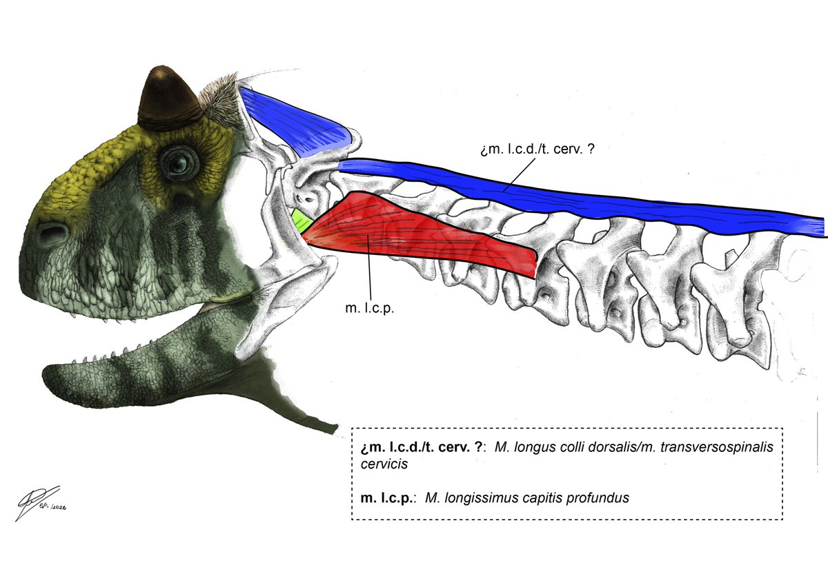 Hugo Valdez tweet media