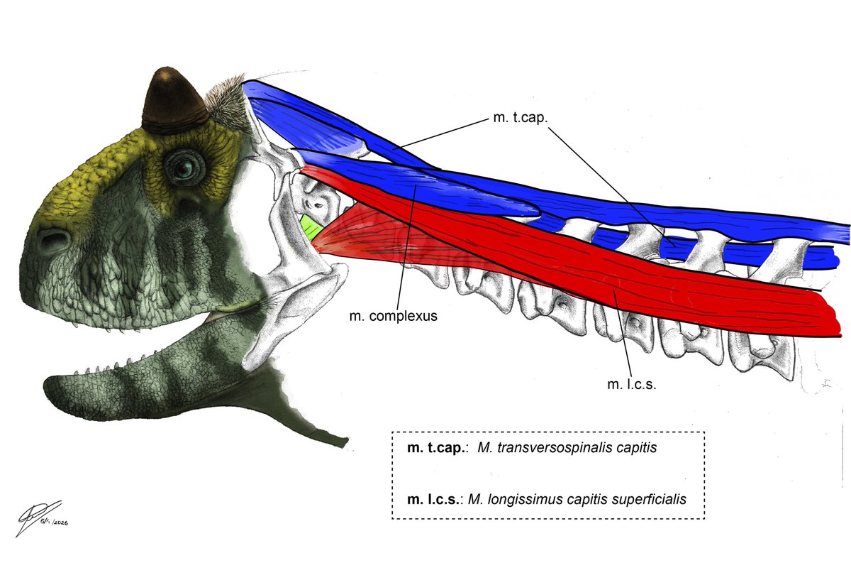 Hugo Valdez tweet media