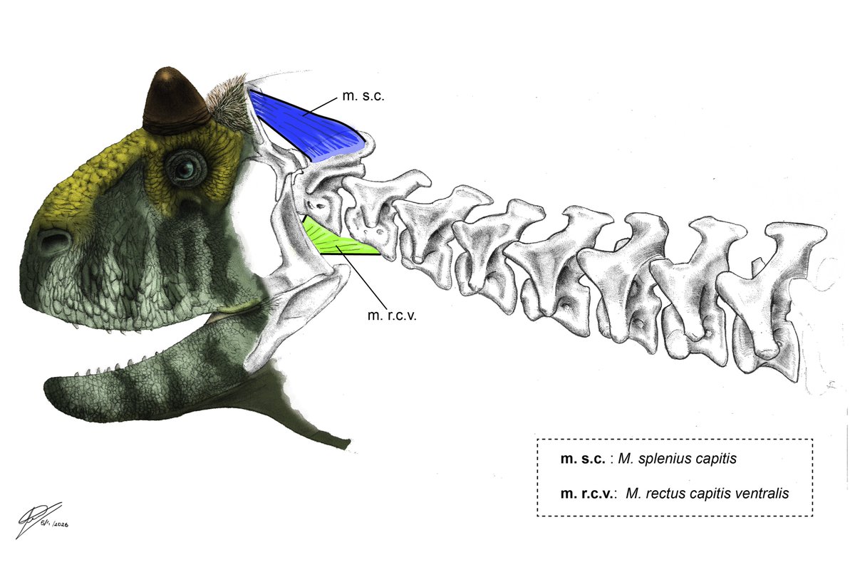 Hugo Valdez tweet media