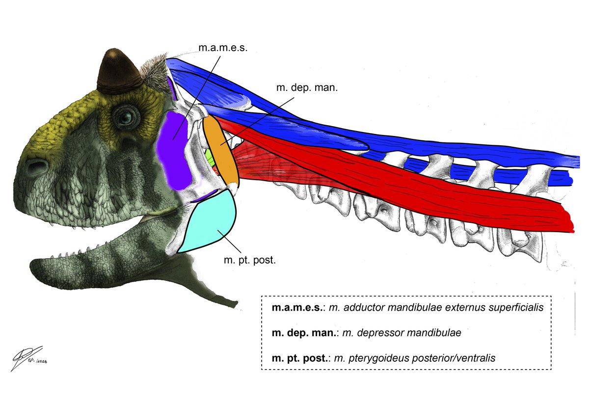 Hugo Valdez tweet media