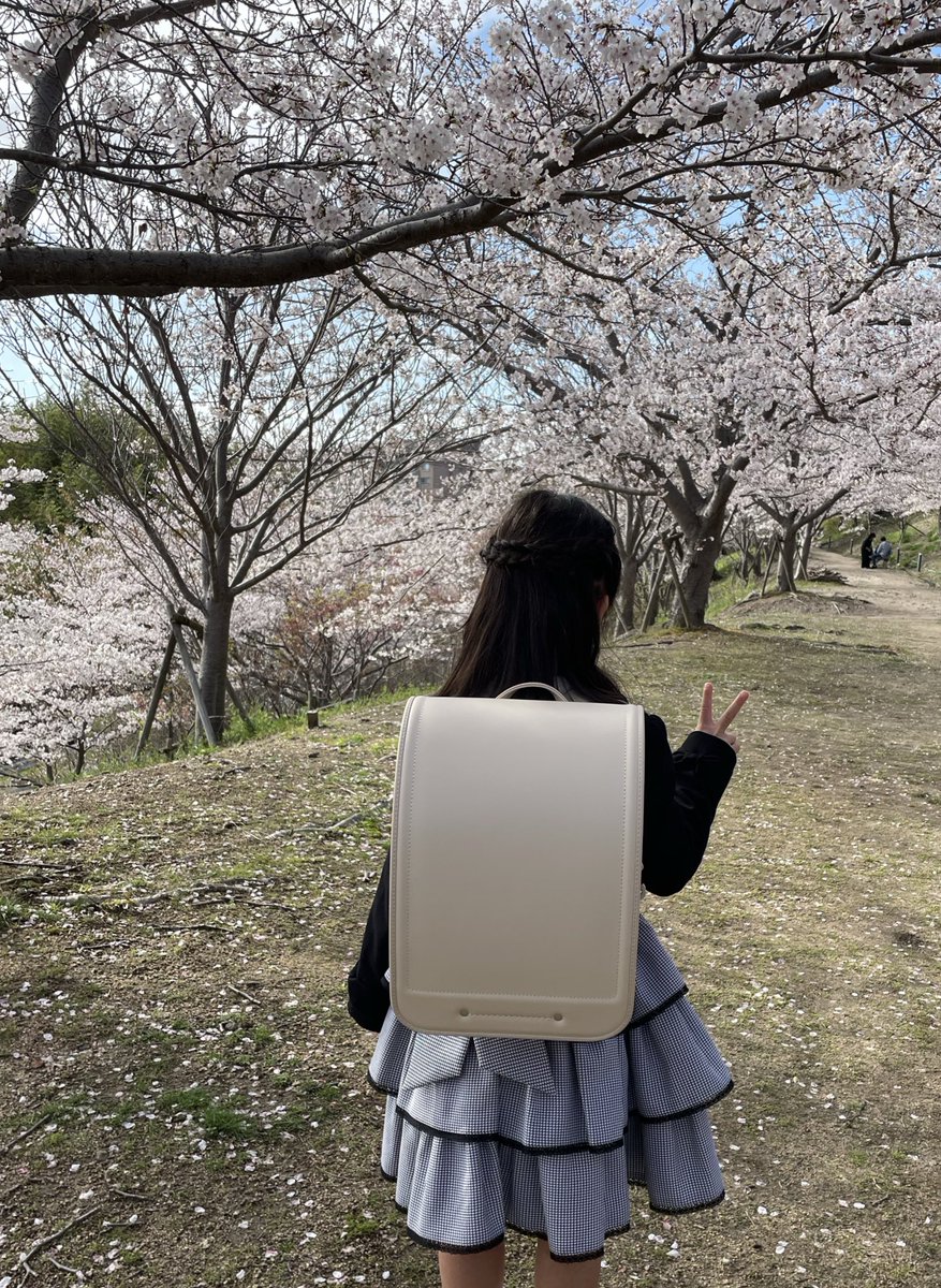 ちえすみ tweet media