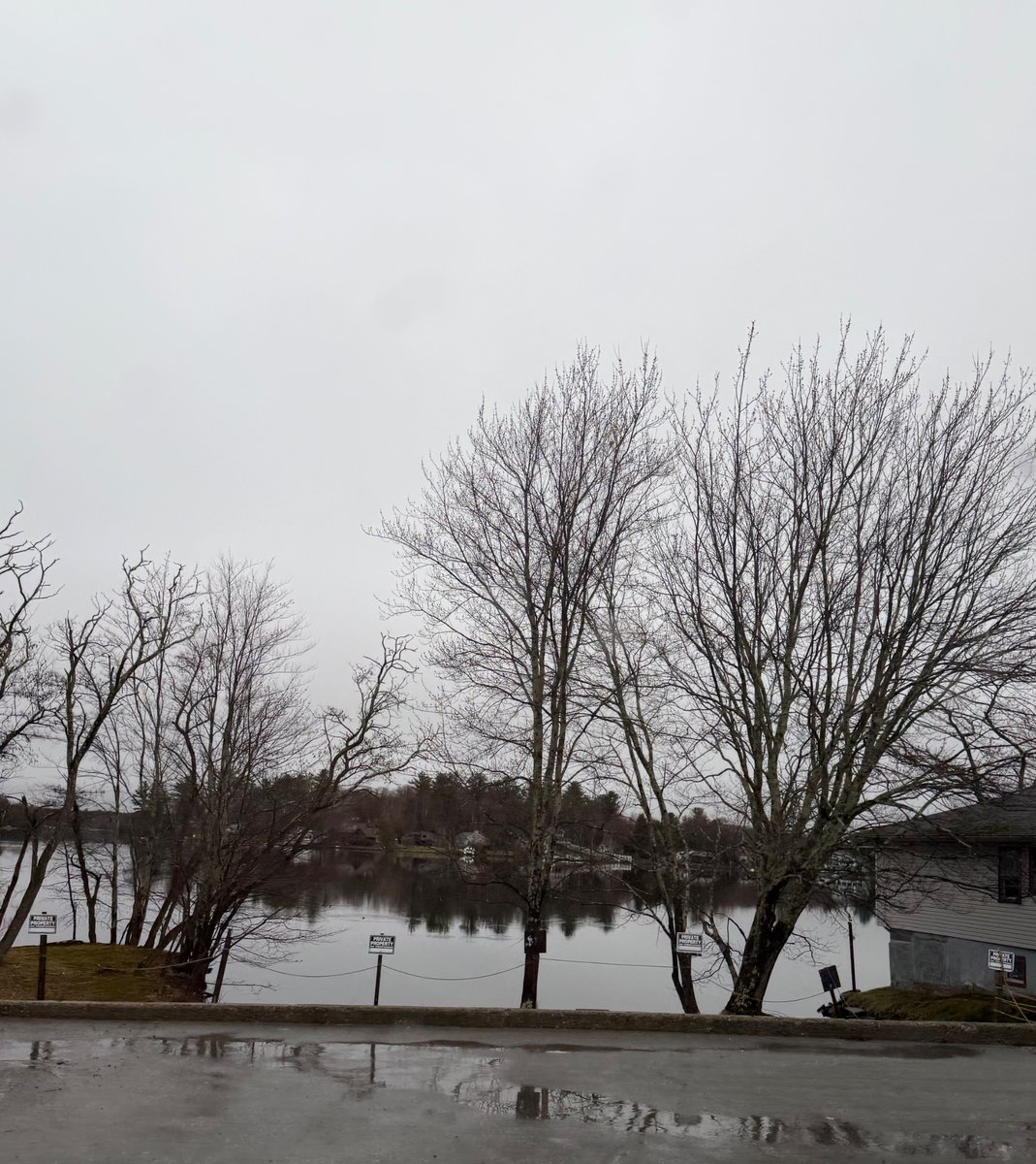 based16z tweet media