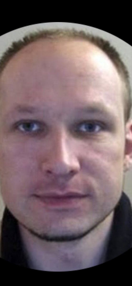 Timo Rütten tweet media