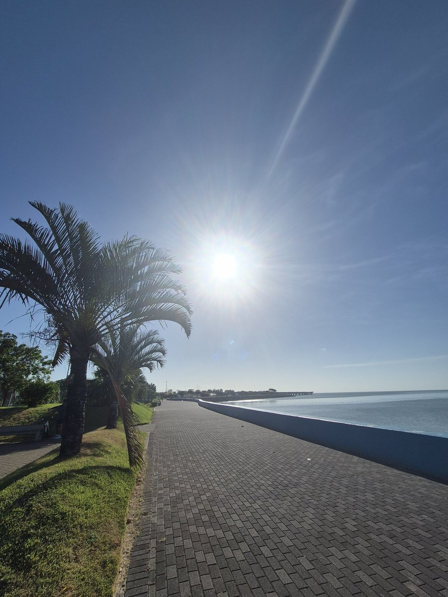 Montenegro A tweet media