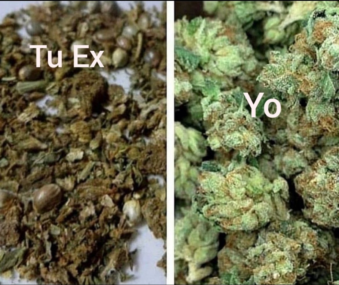 ¡Hay niveles, buddies! 🔥