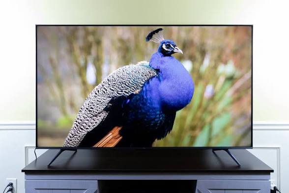 🇿🇦 tweet media