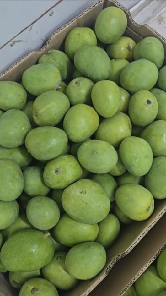 ميثاء💜 tweet media