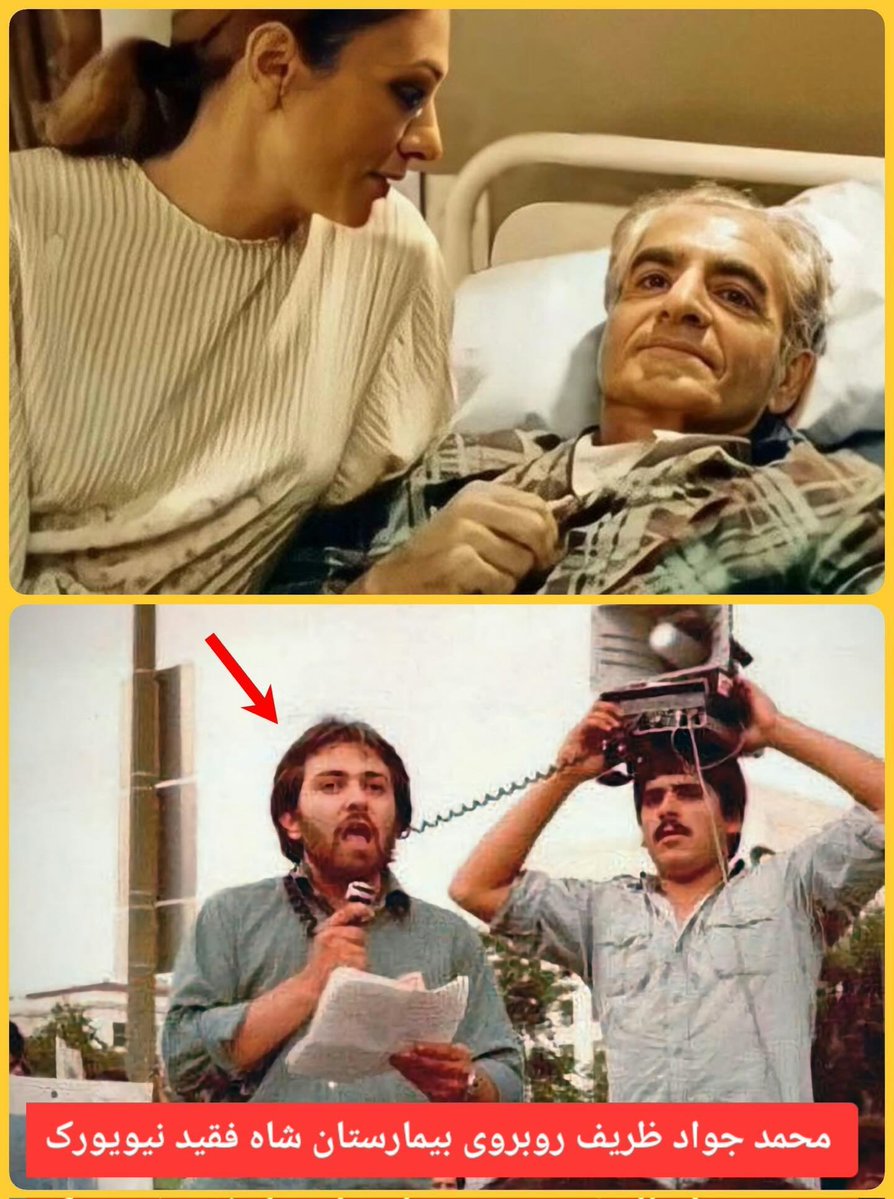 Farshid Babaei tweet media