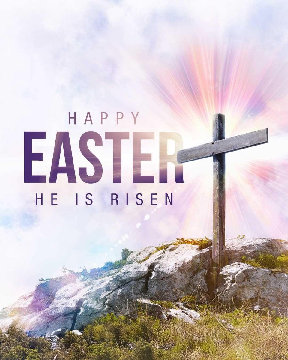 Debbie Williamson tweet media