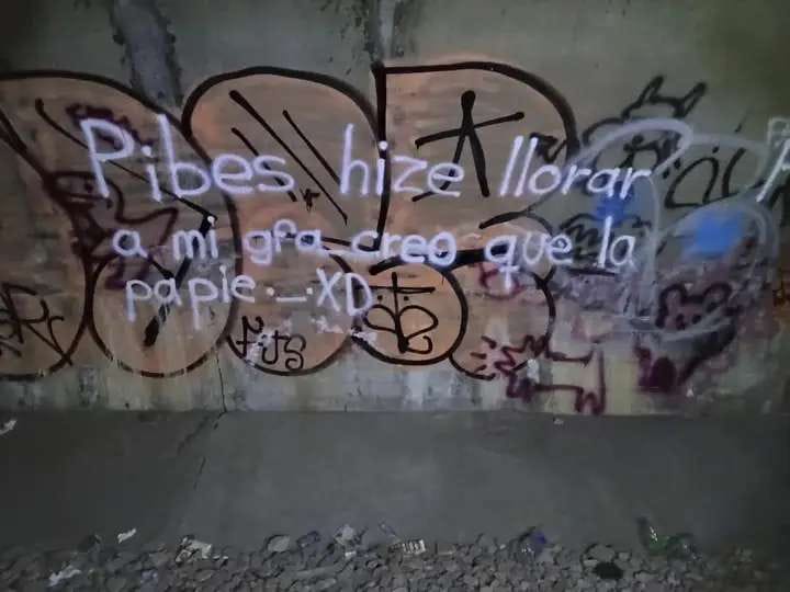 💤 Peludito 76 💤 tweet media