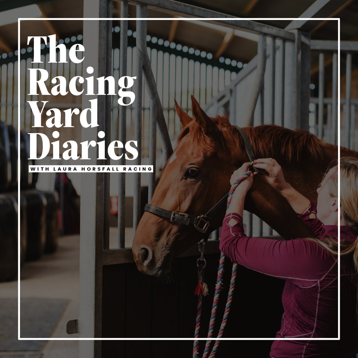 LauraHorsfallRacing tweet media