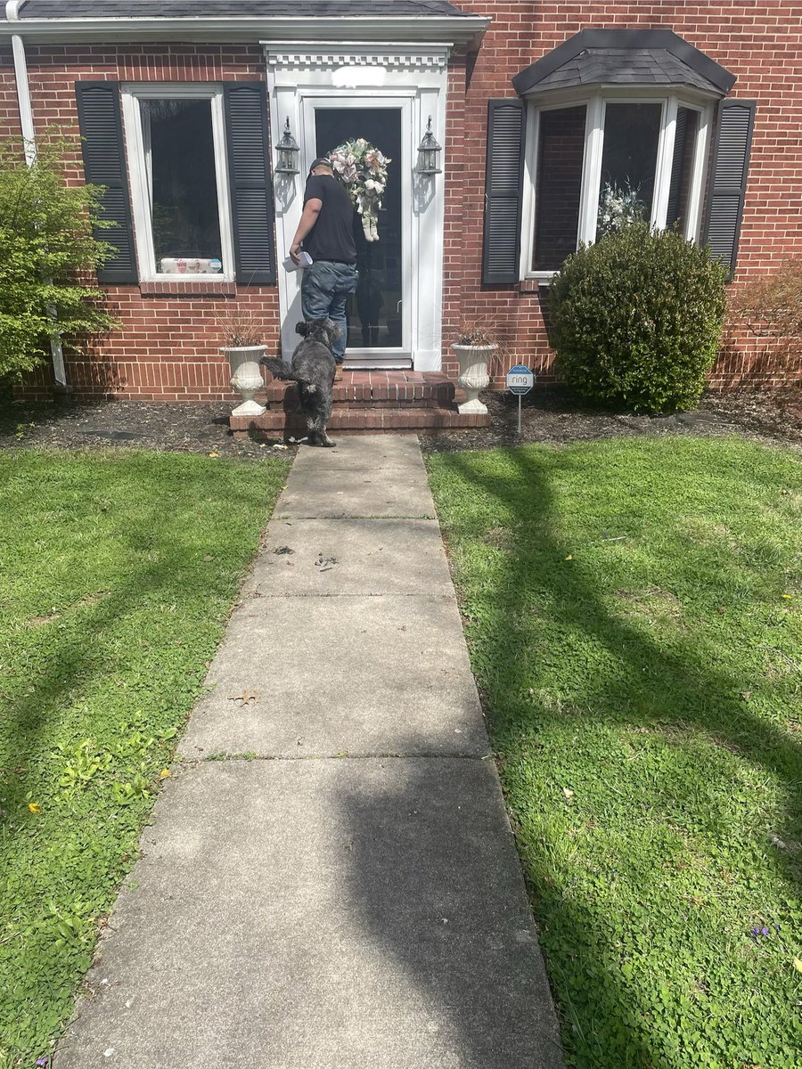 Chase Linko-Looper tweet media