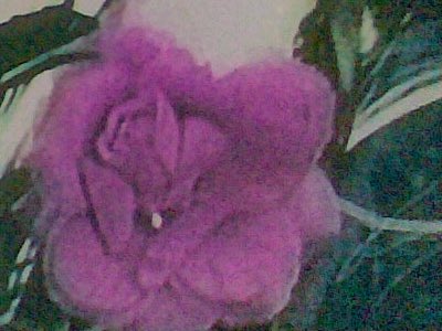 ながと tweet media