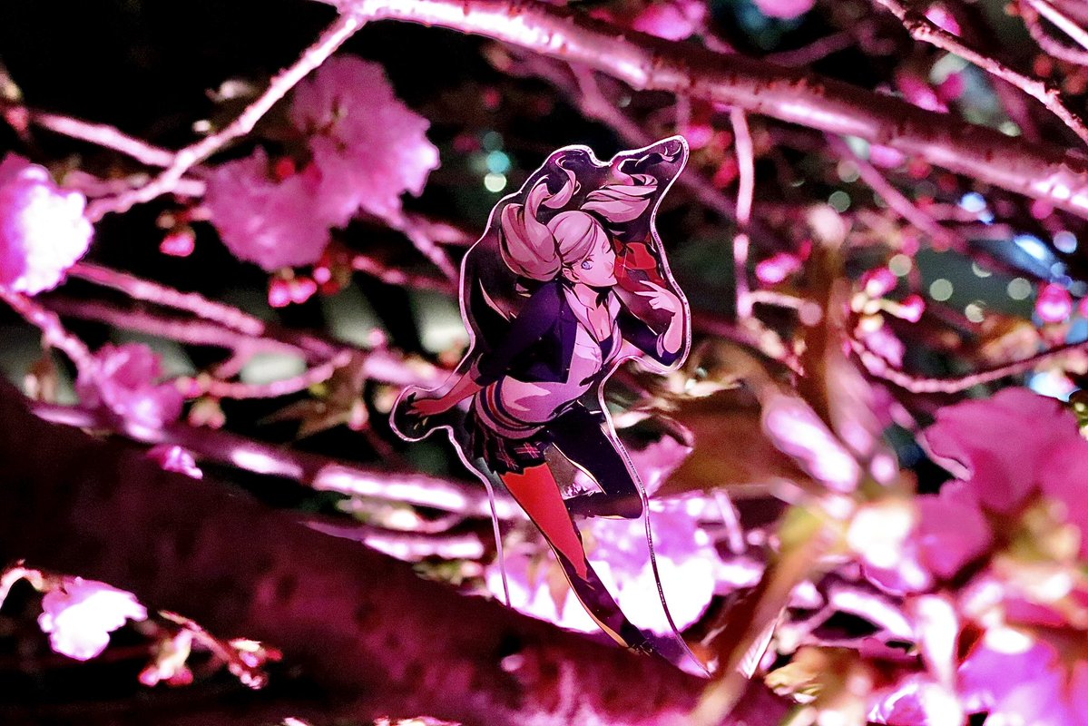 Nnesotan tweet media