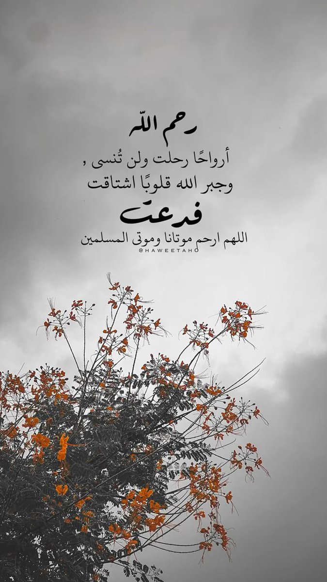 🇸🇦 𝓡𝓪𝓳𝓪𝓪 رجــــــاء tweet media