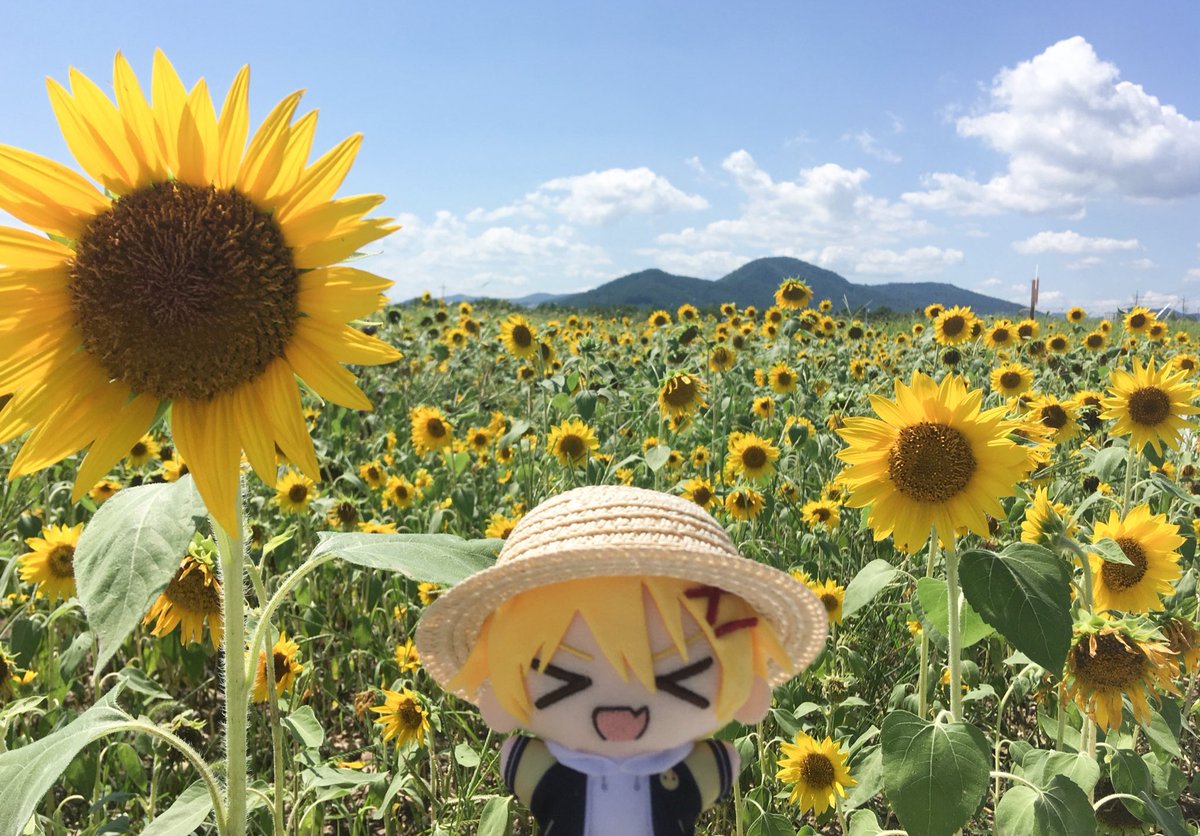 tko_nui's tweet photo. 🌸🌻🍁❄️ https://t.co/vCO38Hzw8y
