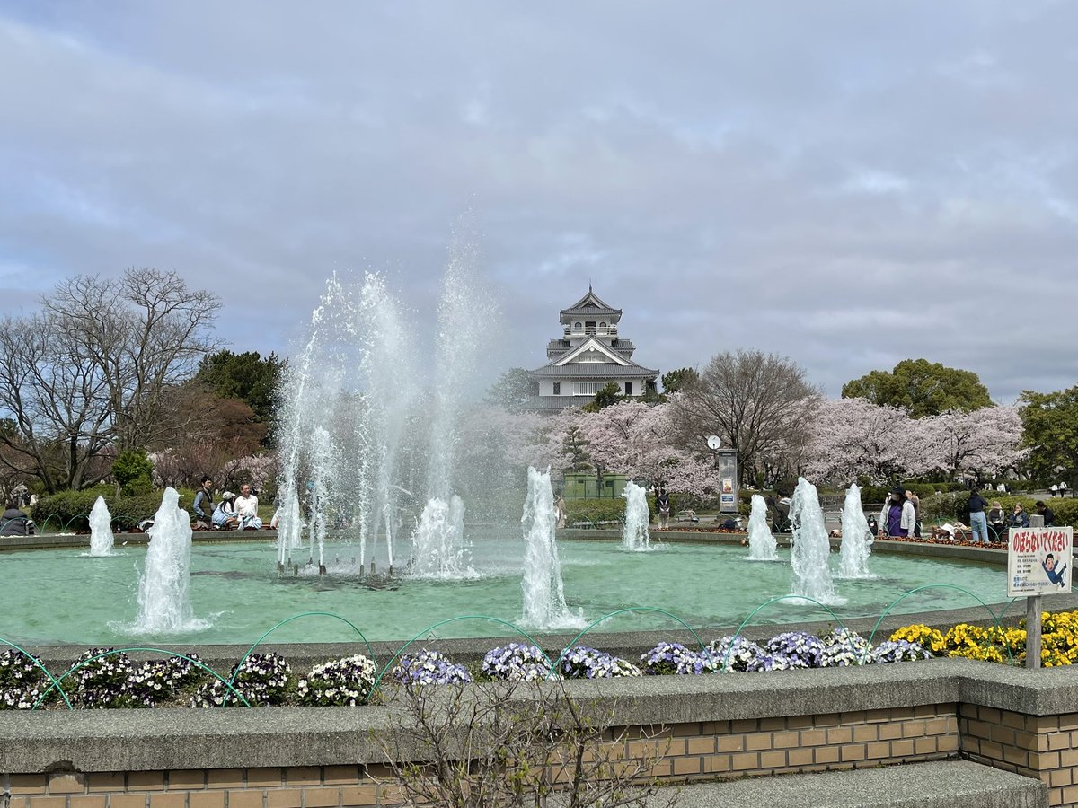 さわたり tweet media