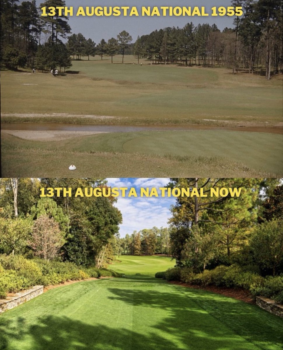 Flushing It tweet media