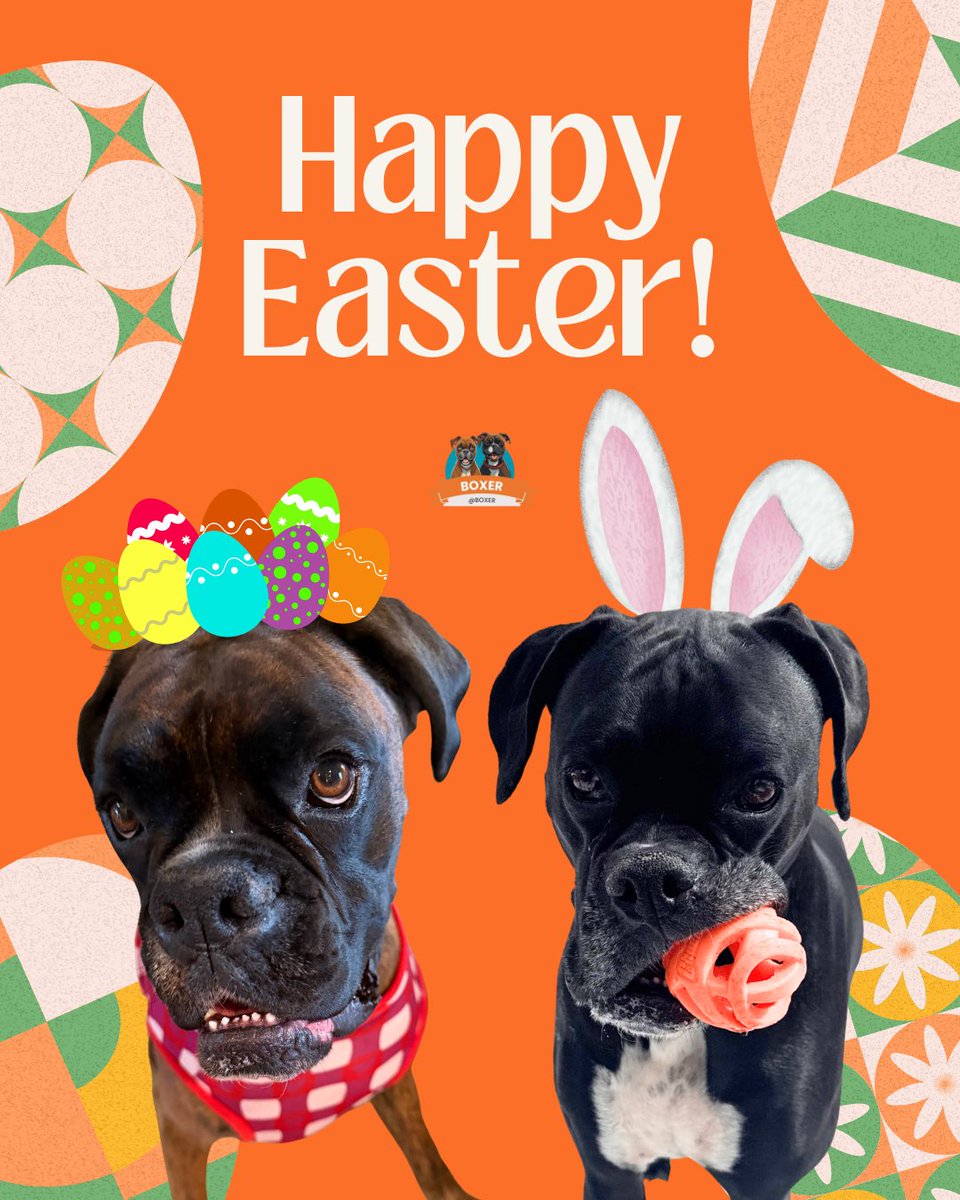 Lillie and Cain traveling the world tweet media