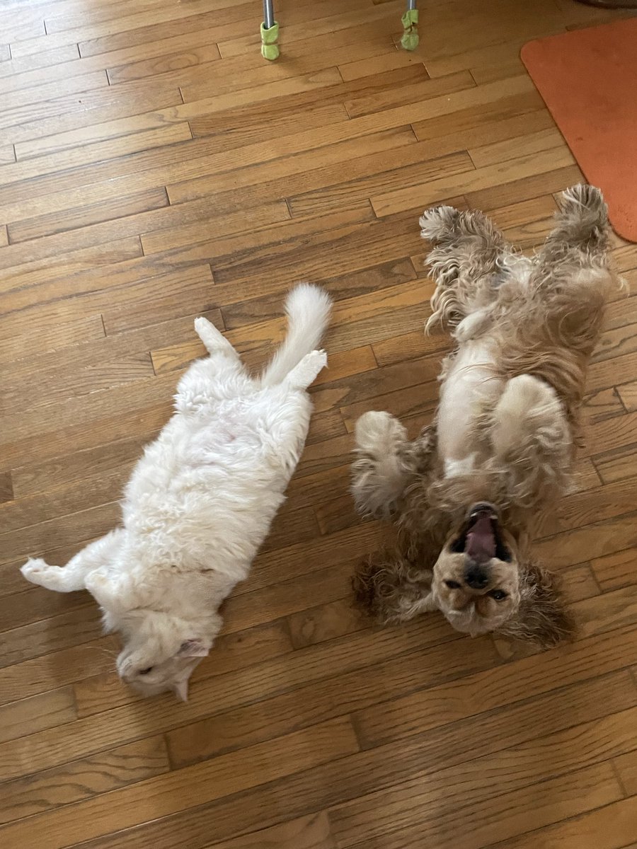 おーたけ＠RUNTEQ78期 tweet media