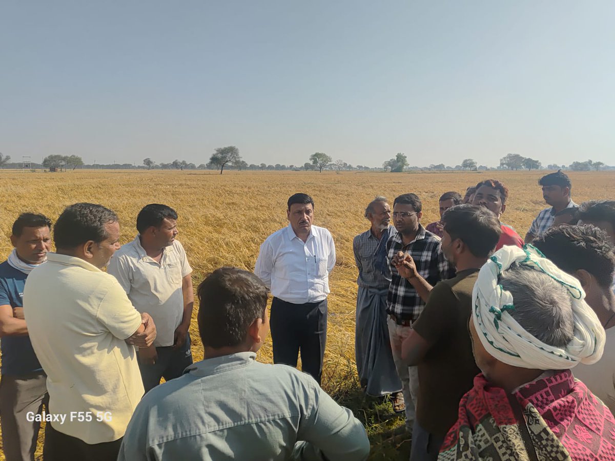 Collector Datia tweet media