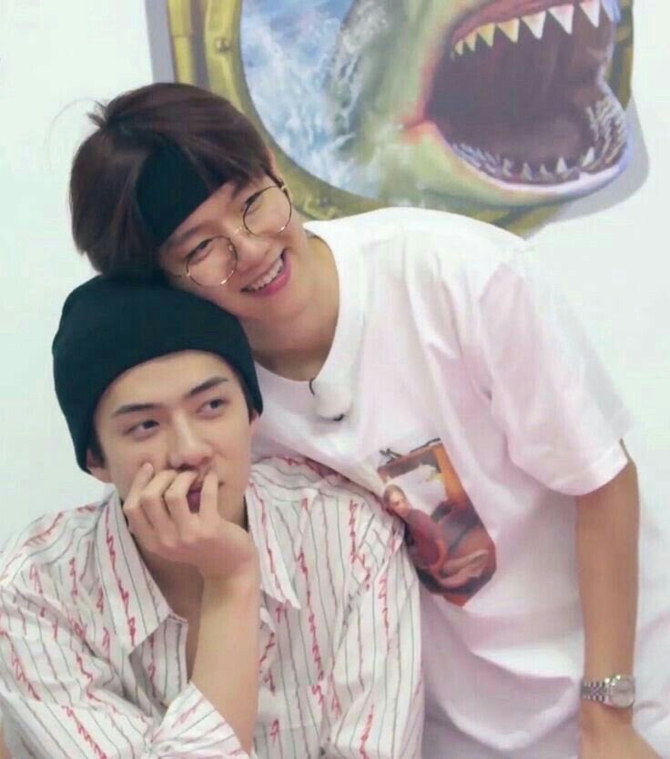 🫧ᴍʏ ɴᴏɴɢ ʙᴀᴇᴋ 🐶🐯🦖🦌🐥🐧🐻🐰🐱🐏 tweet media