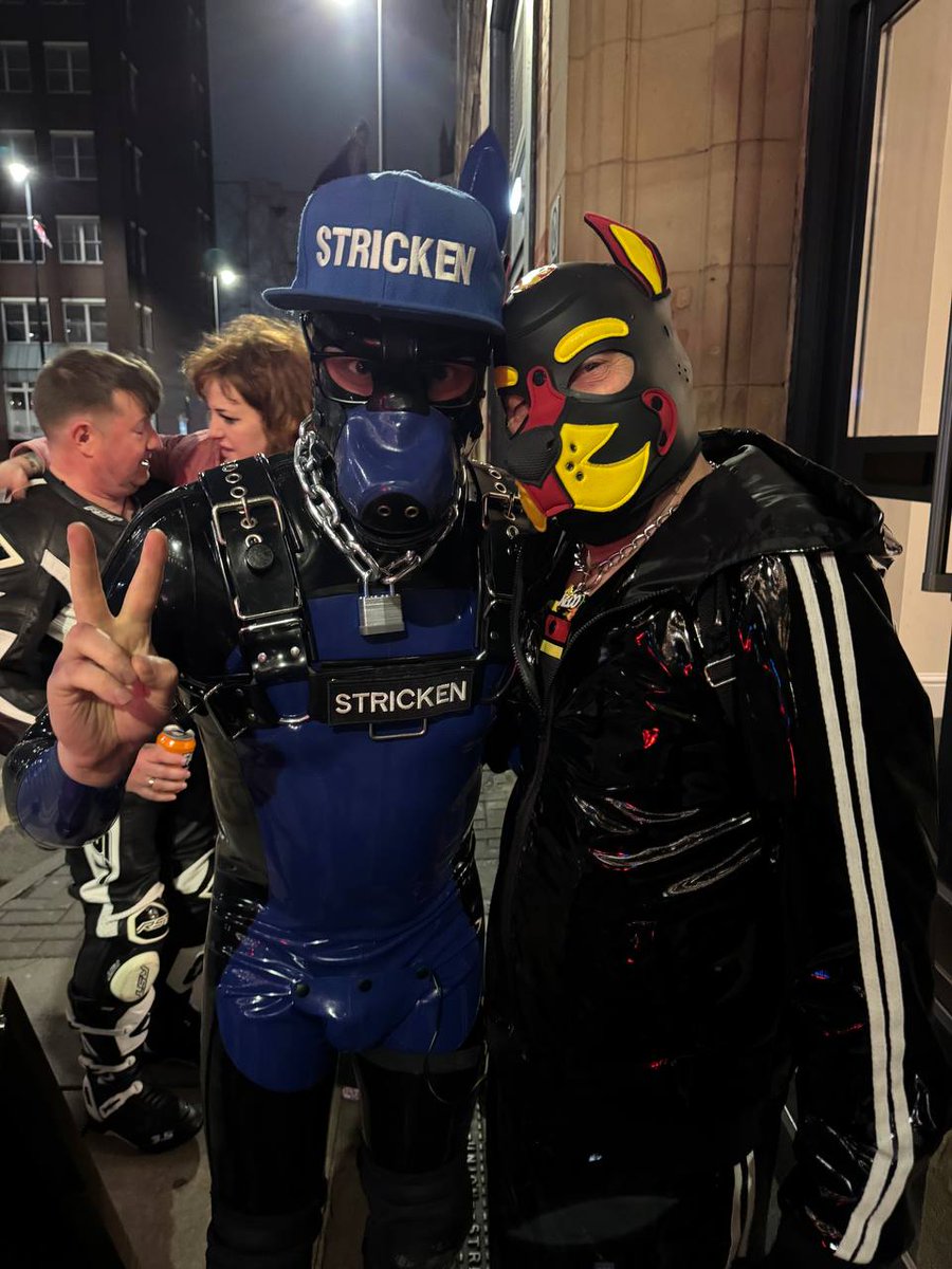 Pup Reco 🔜 tweet media