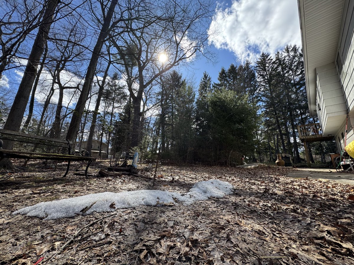 sharegrace tweet media