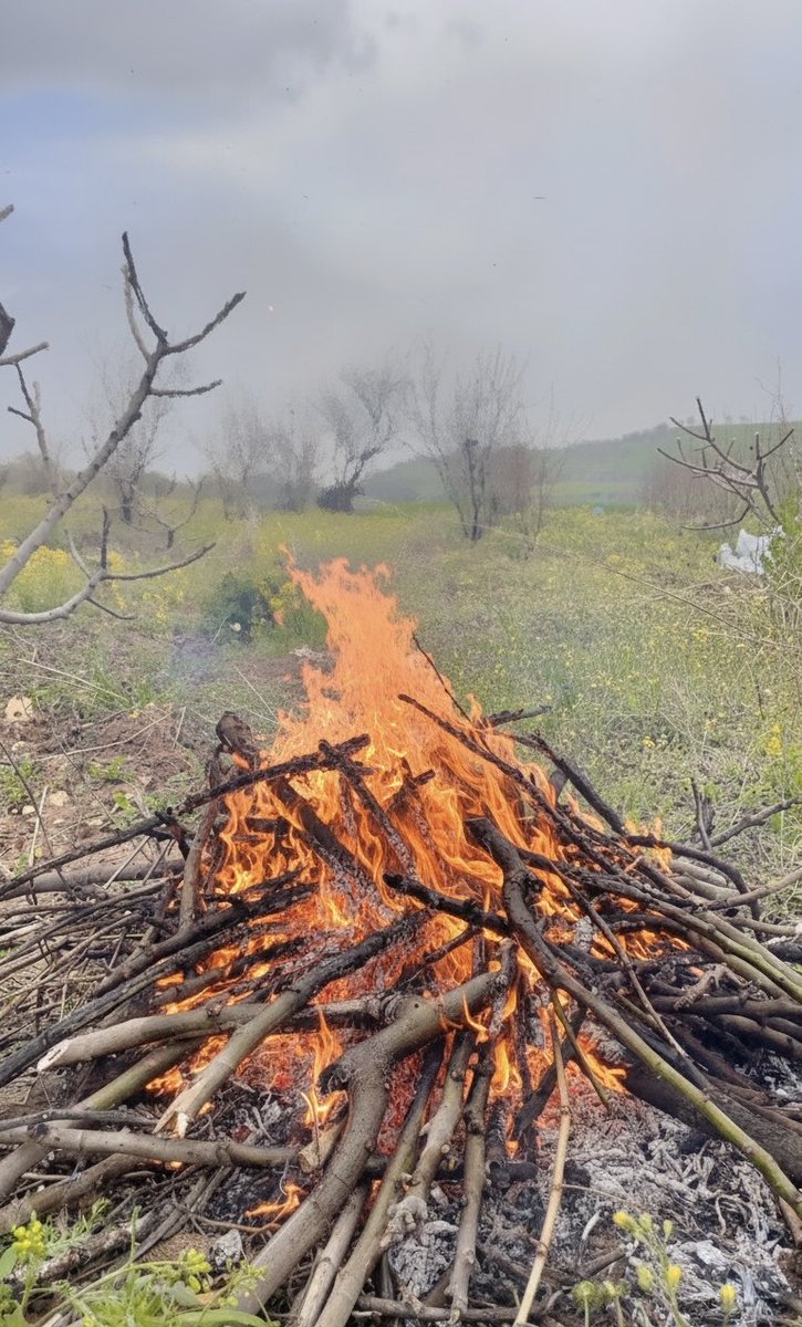 Bena🌸 tweet media