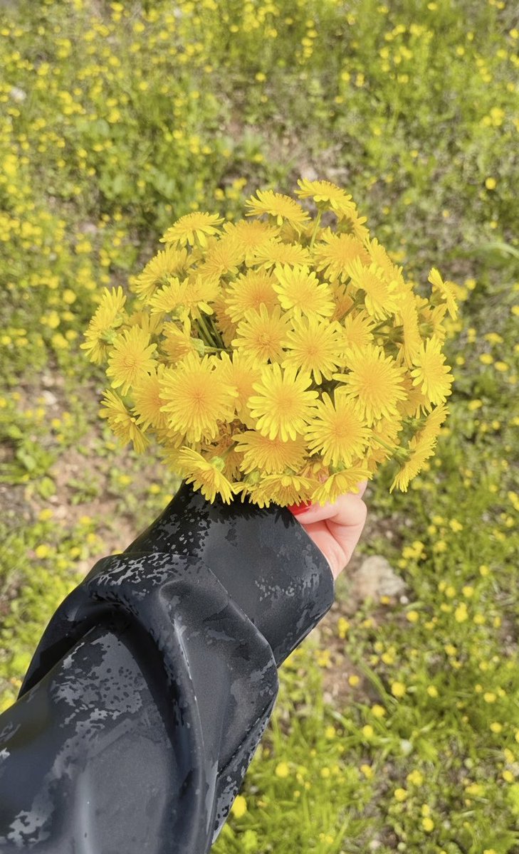 Bena🌸 tweet media