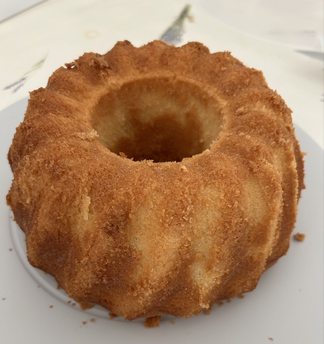 Renske 👩🏼‍💻 en Rosie 🐈 🌈🐾 tweet media