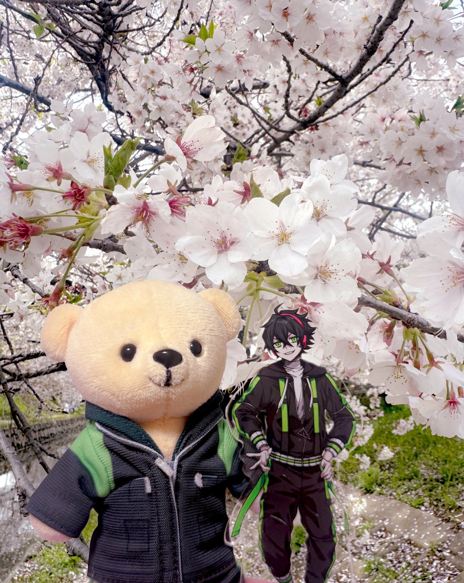 ちゃづけ tweet media