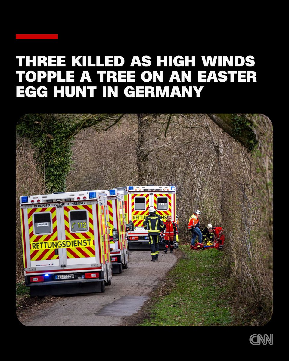 CNN International tweet media