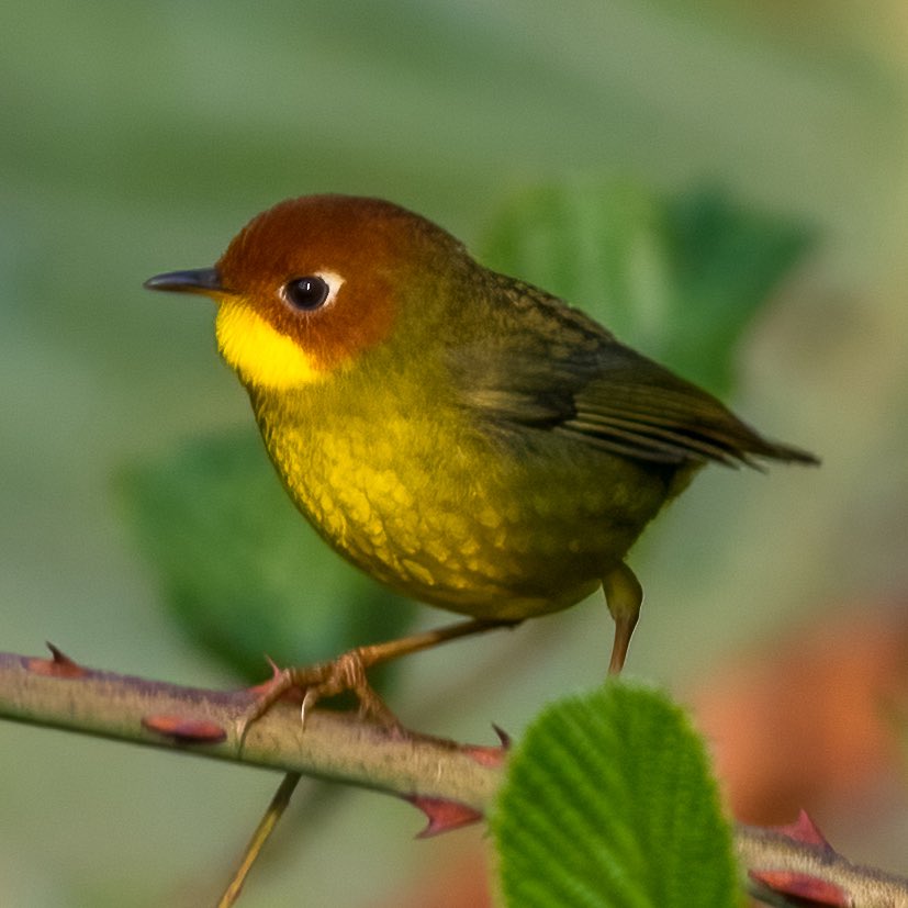 Mohit Mehta tweet media