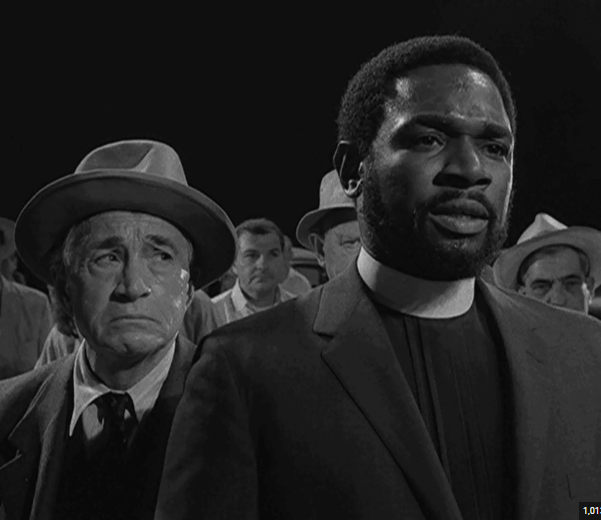 Brown Eyed Susan tweet media