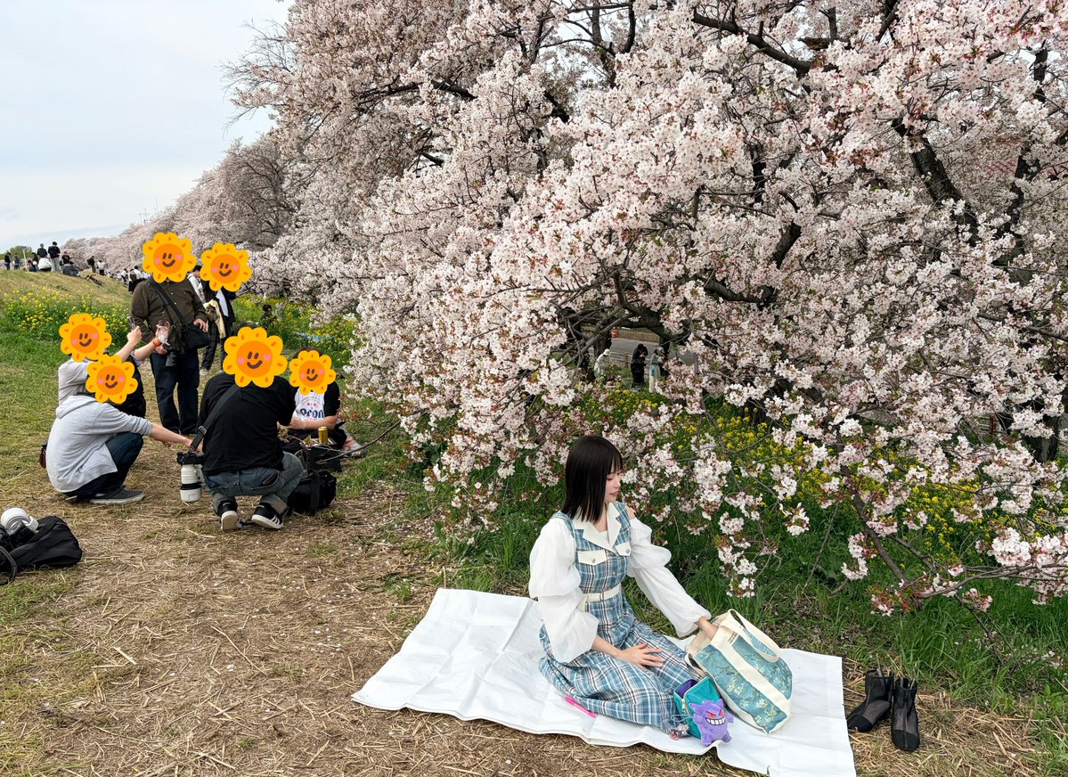 マイメロなんだけど tweet media