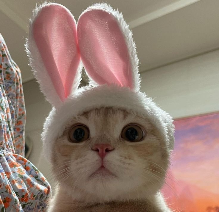 Selene  🖤Perfectly imperfect 🖤 tweet media