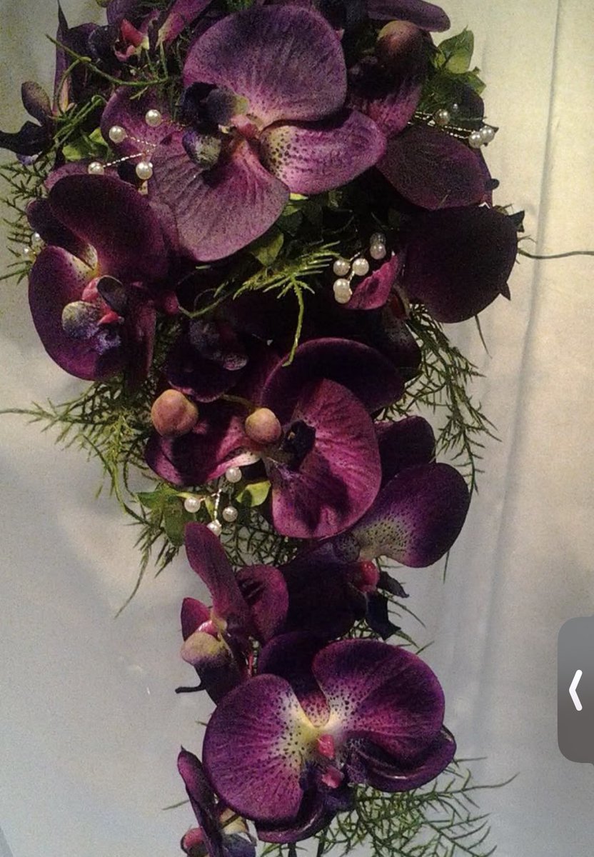 bea (˶˃ ᵕ ˂˶) ‧₊₊˚⊹ tweet media